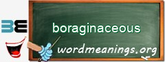 WordMeaning blackboard for boraginaceous
